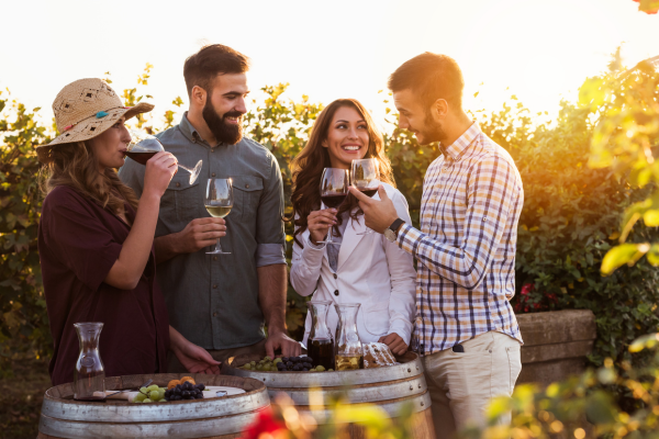 Enoturismo en España: Las mejores bodegas y alojamientos para una escapada perfecta